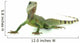 Chinese Water Dragon Wall Decal