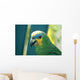 Parrot Amazona Wall Mural