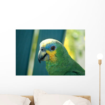 Parrot Amazona Wall Mural shown on a wall