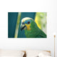 Parrot Amazona Wall Mural