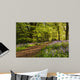 Path through Bluebell Wood