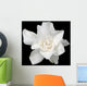 White Gardenia Black