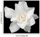 White Gardenia Black