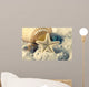 Seashells and Starfish Sand