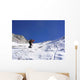 Climbing Snow 02 Wall Decal