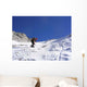 Climbing Snow 02 Wall Decal