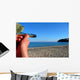 Man Looking out to Wall Decal