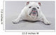 White English Bulldog Lying Wall Decal