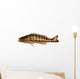 Grouper Fish Wall Decal