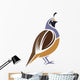 California Quail Wall Decal