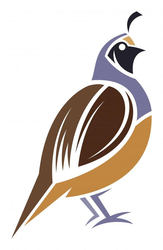 California Quail Wall Decal