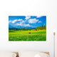 Beautiful Landscape