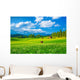 Beautiful Landscape