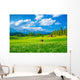 Beautiful Landscape
