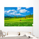 Beautiful Landscape