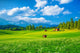 Beautiful Landscape