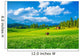 Beautiful Landscape