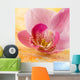 Orchidee Wall Mural