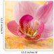 Orchidee Wall Mural