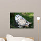 Snowy Owl