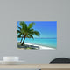 Palm Trees and Beach
