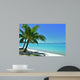 Palm Trees and Beach