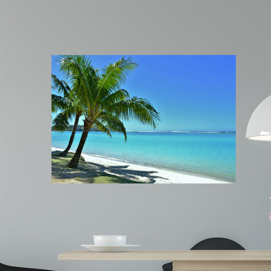 Palm Trees and Beach