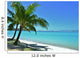Palm Trees and Beach