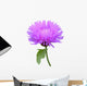 Milk Thistle Cirsium Medical Plant Isolated Wall Decal