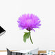 Milk Thistle Cirsium Medical Plant Isolated Wall Decal