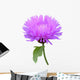 Milk Thistle Cirsium Medical Plant Isolated Wall Decal