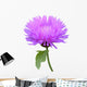 Milk Thistle Cirsium Medical Plant Isolated Wall Decal