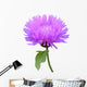 Milk Thistle Cirsium Medical Plant Isolated Wall Decal