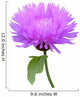 Milk Thistle Cirsium Medical Plant Isolated Wall Decal