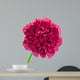 Peony Flower Wall Decal