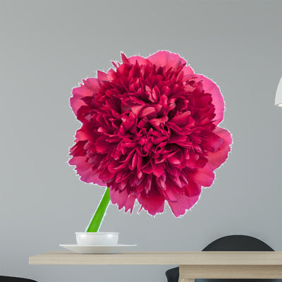Peony Flower Wall Decal shown on a wall