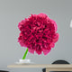 Peony Flower Wall Decal