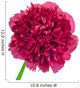 Peony Flower Wall Decal