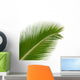 Exotic Palm Wall Mural