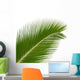 Exotic Palm Wall Mural