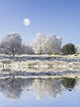 Winter Freeze Northern England Wall Decal