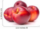 Nectarine Fruit White Cutout
