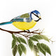 Background with vector detailed bird Wall Decal