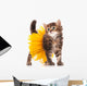 Cute kitten Wall Decal