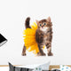 Cute kitten Wall Decal