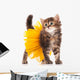 Cute kitten Wall Decal