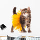Cute kitten Wall Decal