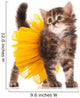 Cute kitten Wall Decal