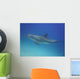 Blue Dolphin