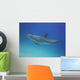 Blue Dolphin